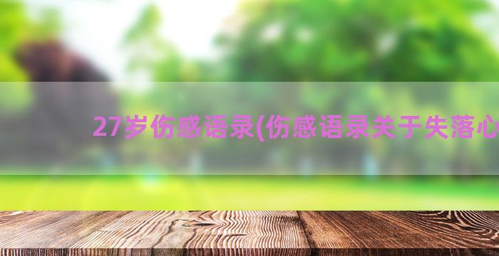 27岁伤感语录(伤感语录关于失落心情)