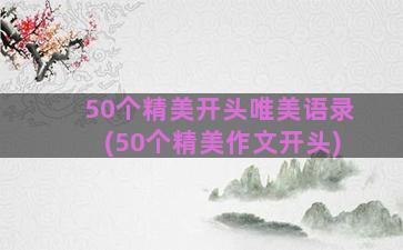 50个精美开头唯美语录(50个精美作文开头)