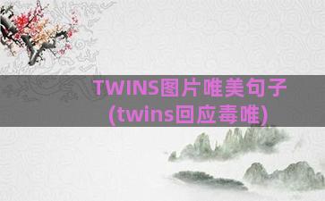 TWINS图片唯美句子(twins回应毒唯)