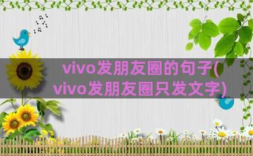 vivo发朋友圈的句子(vivo发朋友圈只发文字)