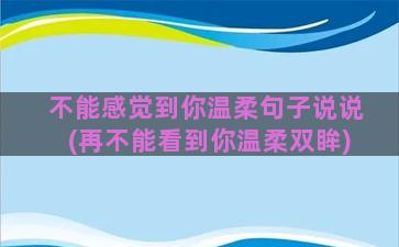 不能感觉到你温柔句子说说(再不能看到你温柔双眸)