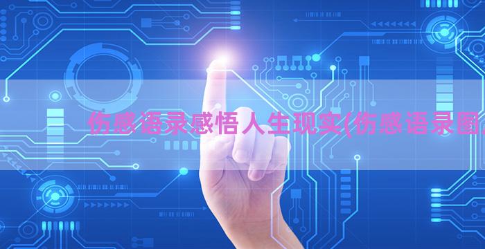 伤感语录感悟人生现实(伤感语录图片)