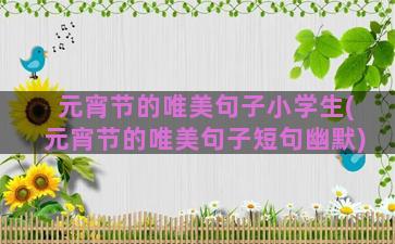 元宵节的唯美句子小学生(元宵节的唯美句子短句幽默)