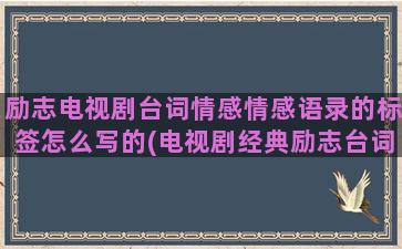 励志电视剧台词情感情感语录的标签怎么写的(电视剧经典励志台词)