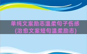 单纯文案励志温柔句子伤感(治愈文案短句温柔励志)