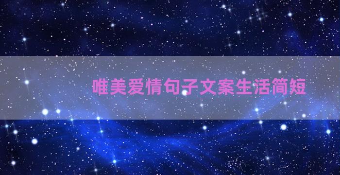 唯美爱情句子文案生活简短