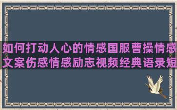 如何打动人心的情感国服曹操情感文案伤感情感励志视频经典语录短句(如何让作品打动人心)