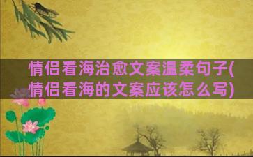 情侣看海治愈文案温柔句子(情侣看海的文案应该怎么写)