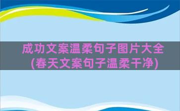 成功文案温柔句子图片大全(春天文案句子温柔干净)