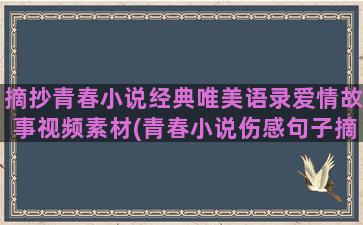 摘抄青春小说经典唯美语录爱情故事视频素材(青春小说伤感句子摘抄)