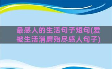 最感人的生活句子短句(爱被生活消磨殆尽感人句子)