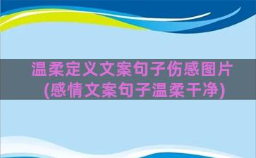 温柔定义文案句子伤感图片(感情文案句子温柔干净)