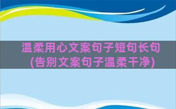 温柔用心文案句子短句长句(告别文案句子温柔干净)