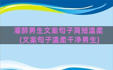 灌醉男生文案句子简短温柔(文案句子温柔干净男生)