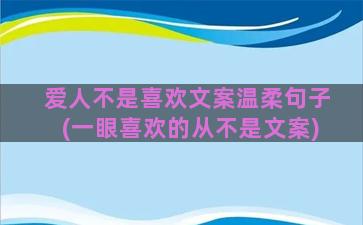 爱人不是喜欢文案温柔句子(一眼喜欢的从不是文案)