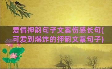 爱情押韵句子文案伤感长句(可爱到爆炸的押韵文案句子)