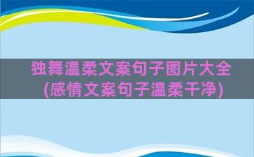 独舞温柔文案句子图片大全(感情文案句子温柔干净)