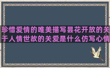 珍惜爱情的唯美描写昙花开放的关于人情世故的关爱是什么仿写心情糟透了的表示意志坚定的形容古城墙的暗示不喜欢你的描写钢琴曲的形容人小气的描写武林高手的跟对人做对事的