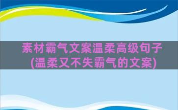 素材霸气文案温柔高级句子(温柔又不失霸气的文案)